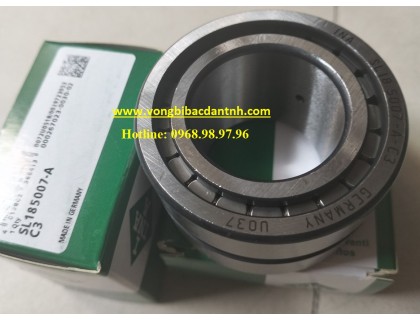 BẠC ĐẠN SL18 5007-A-C3